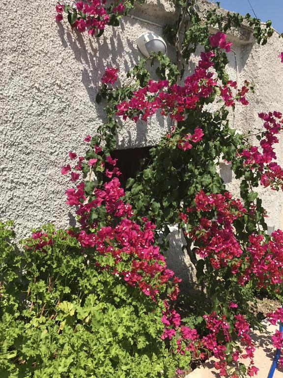 Cyan Icons Villas Kalyves Chania Dış mekan fotoğraf