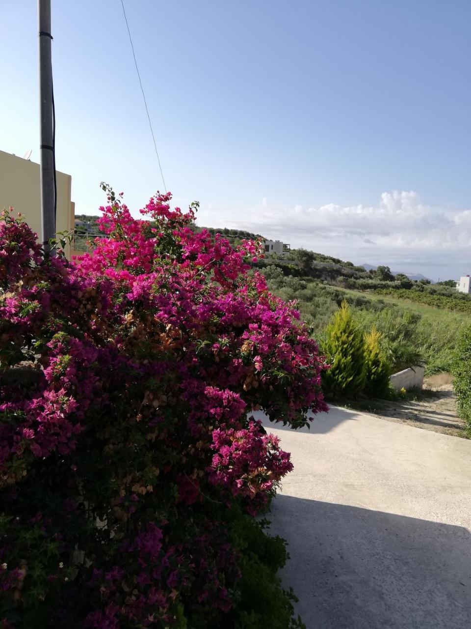 Cyan Icons Villas Kalyves Chania Dış mekan fotoğraf